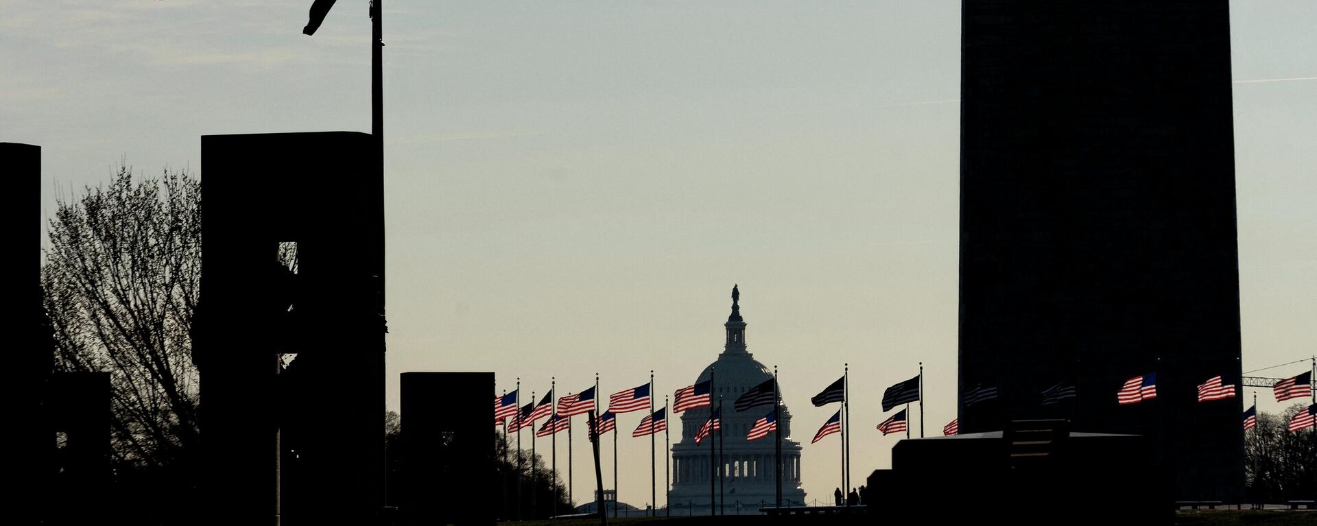 The US Capitol is seen past US flags on the National Mall in Washington, DC, on March 14, 2022. - Sputnik International, 1920, 18.05.2022