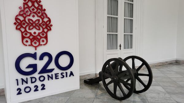 G20 Indonesia 2022 summit - Sputnik International