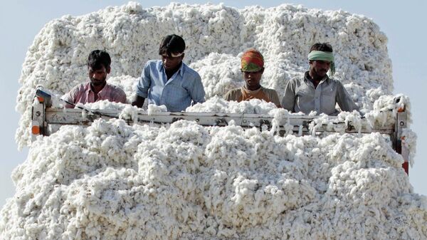In this photo taken Friday, Dec. 16, 2011, Indian laborers unload cotton from a truck at a cotton mill in Dhrangadhra, about 110 kilometers from Ahmadabad, India - Sputnik International