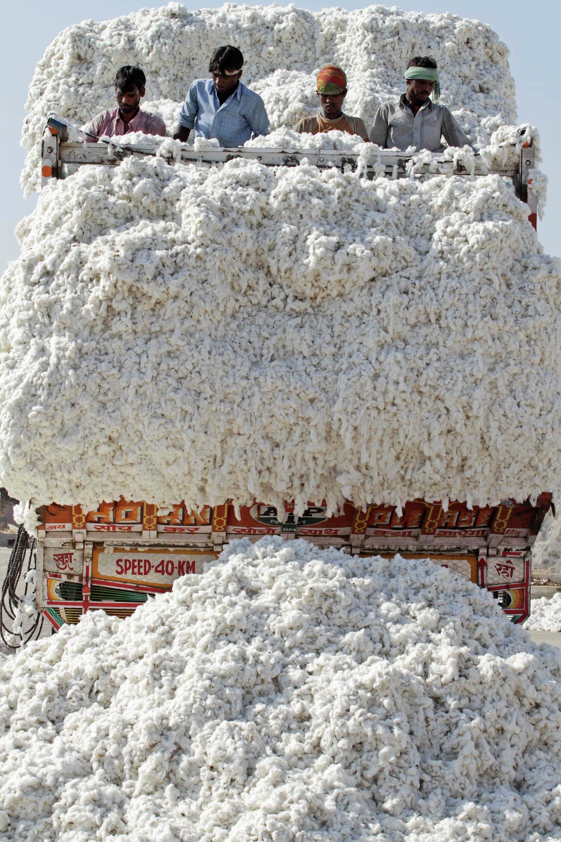 In this photo taken Friday, Dec. 16, 2011, Indian laborers unload cotton from a truck at a cotton mill in Dhrangadhra, about 110 kilometers from Ahmadabad, India - Sputnik International, 1920, 26.09.2022