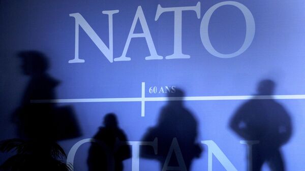 Shadows cast on a wall decorated with the NATO logo and flags of NATO countries - Sputnik International