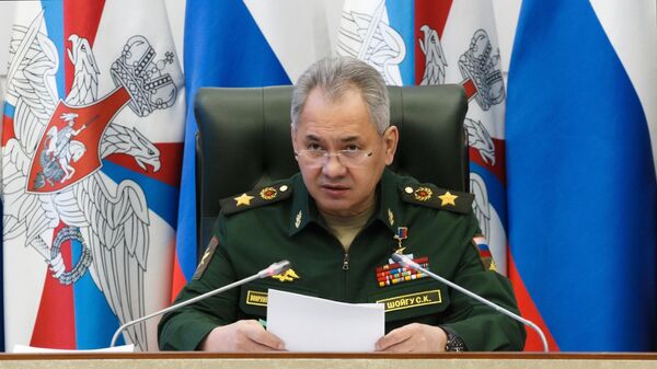 Russian Defence Minister Sergei Shoigu - Sputnik International