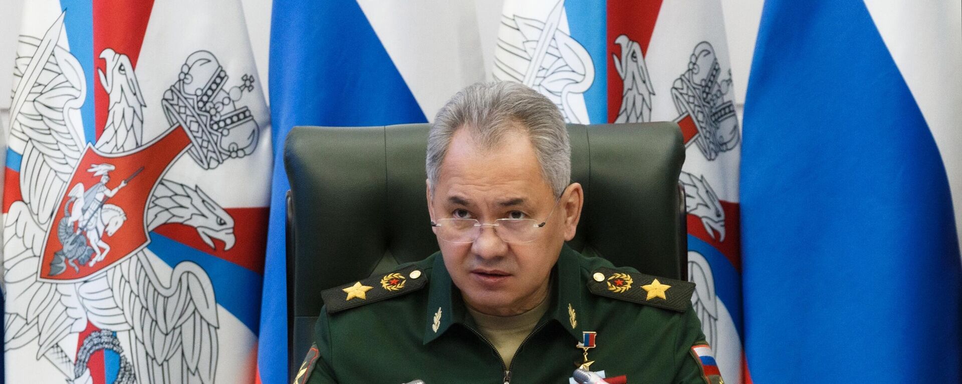 Russian Defence Minister Sergei Shoigu - Sputnik International, 1920, 11.07.2023