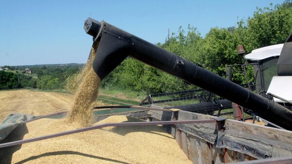 	Grain harvestig in Donetsk People's Republic - Sputnik International