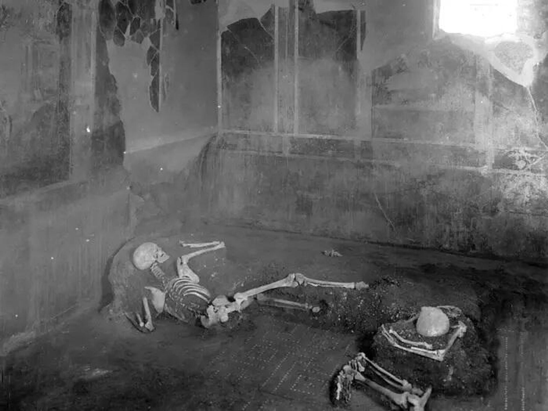 The two individuals found in the “Casa del Fabbro” or “House of the Craftsman” (room 9) in Pompeii - Sputnik International, 1920, 27.05.2022