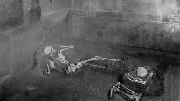 The two individuals found in the “Casa del Fabbro” or “House of the Craftsman” (room 9) in Pompeii - Sputnik International