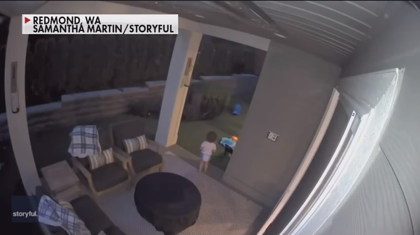 (Screenshot) Washington mom saves toddler running to hug black bear - Sputnik International