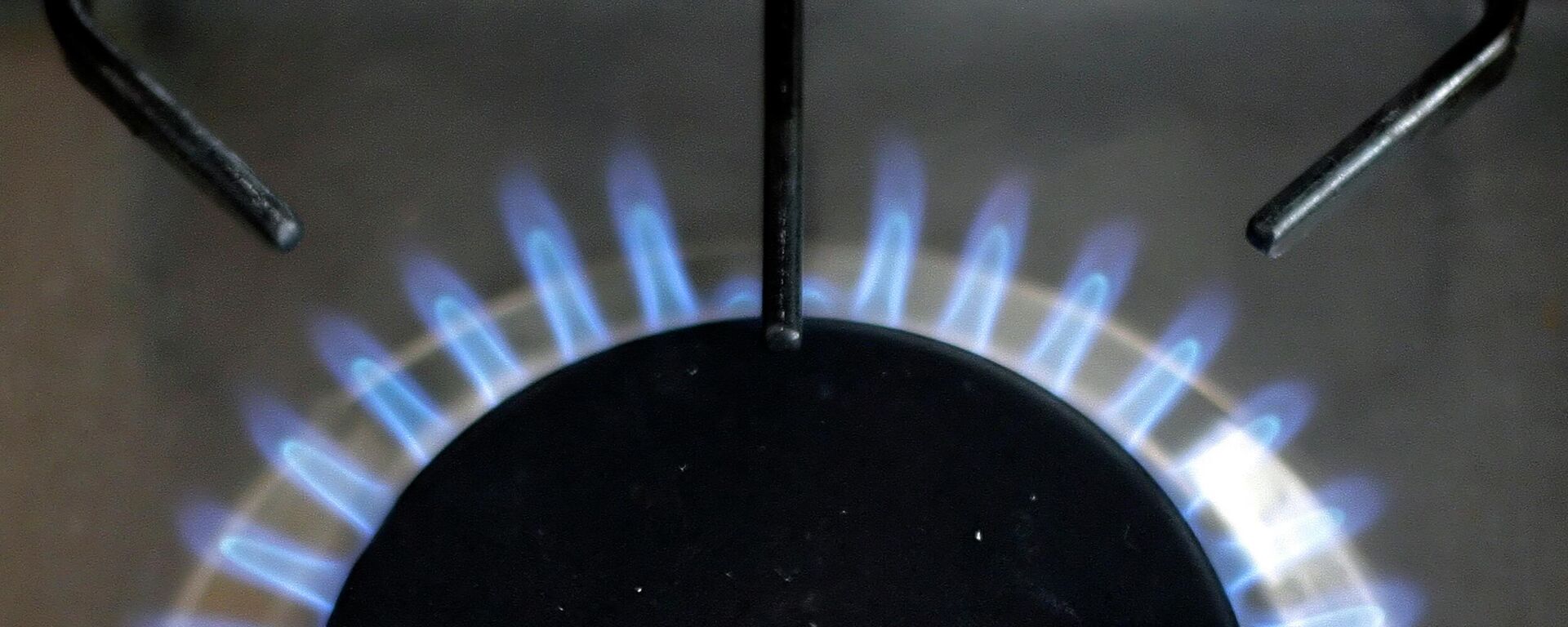 A gas burner of a stove is pictured in London, on July 31, 2008 - Sputnik International, 1920, 24.06.2022