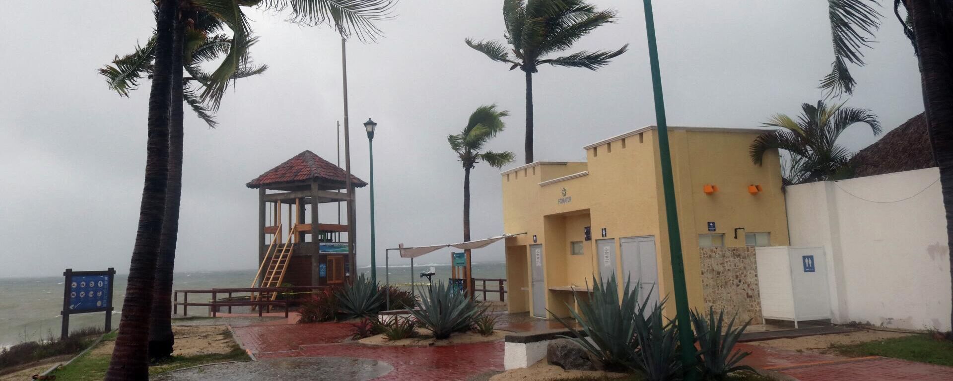 Palm trees blow in the wind before Hurricane Agatha makes landfall in Huatulco, Oaxaca State, Mexico on May 30, 2022 - Sputnik International, 1920, 31.05.2022