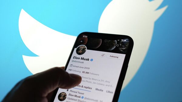 This illustration photo taken May 13, 2022, displays Elon Musk’s Twitter account with a Twitter logo in the background in Los Angeles. - Sputnik International