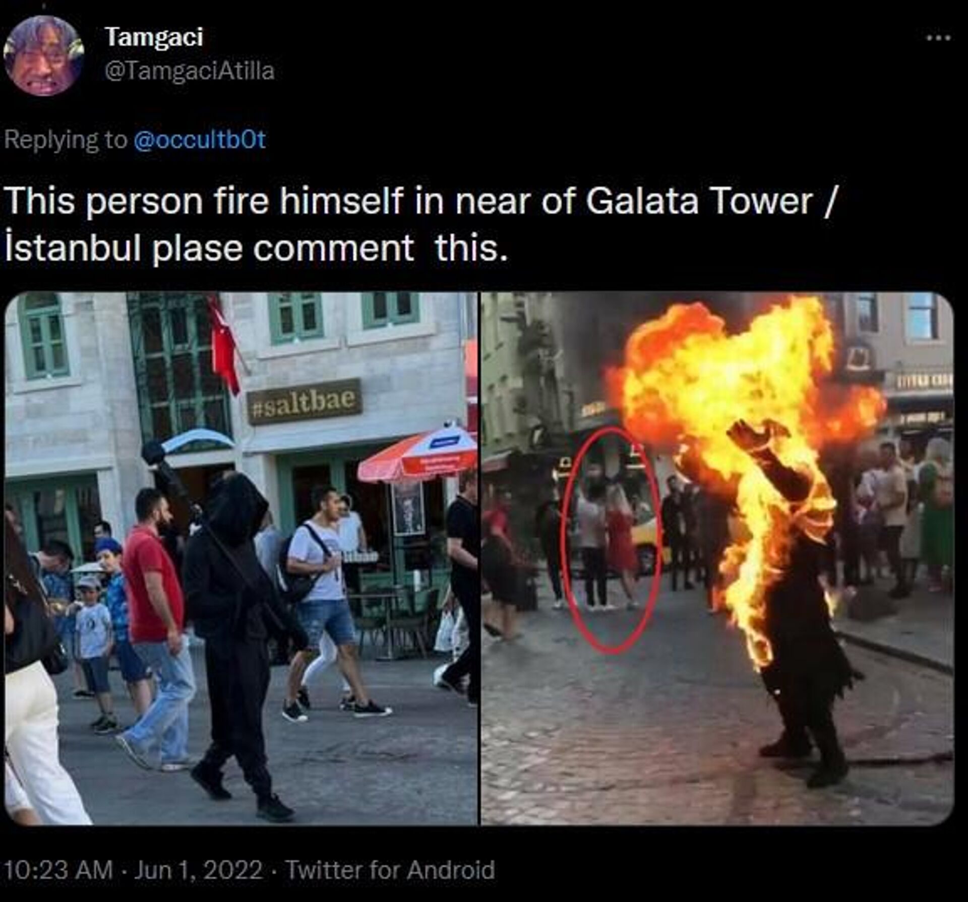 Screenshot of a tweet about people taking selfie with ‘torch-man’ in istanbul, Turkey - Sputnik International, 1920, 01.06.2022
