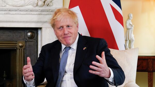 Britain's Prime Minister Boris Johnson gestures as he meets Estonia's Prime Minister Kaja Kallas at 10 Downing Street - Sputnik International