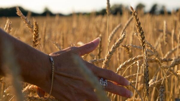  - Sputnik International