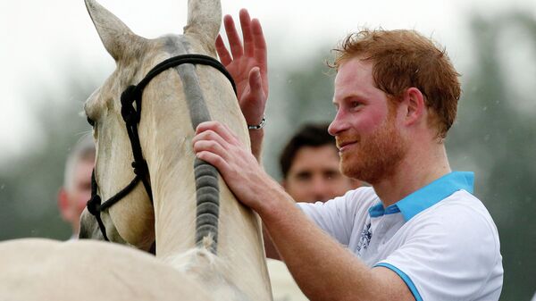Britain's Prince Harry puts his hand on a horse following the Sentebale Royal Salute Polo Cup 2016 at the Valiente Polo Farm in Wellington, Florida on May 4, 2016.  - Sputnik International