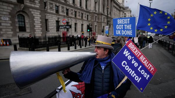 Anti-Brexit protester Steve Bray demonstrates on the edge of Parliament Square - Sputnik International