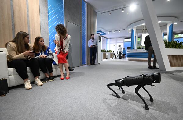 A robotic dog, demonstrated to the participants of the 25th St. Petersburg International Economic Forum. - Sputnik International