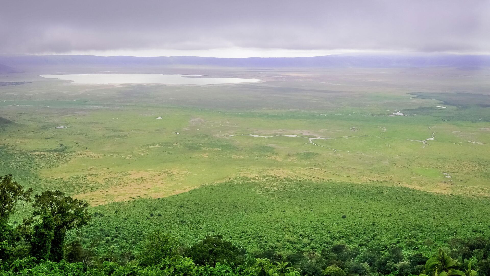 Tanzania's Ngorongoro Crater - Sputnik International, 1920, 16.06.2022