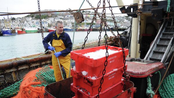 British fisherman Barry Stockton hauls crates of freshly caught fish aboard fishing trawler 'Stephanie' docked in the harbour in the fishing town of Brixham on the south coast of England on March 26, 2018. - On the dockside in Brixham, a bustling fishing port in southwestern England, the fear is that Britain's departure from the European Union may prove a false dawn for hopes of taking back control. The area voted 63 percent in favour of leaving the EU in the 2016 referendum -- a sign of the anger over its fishing quotas and equal access rights blamed for a long-term decline of the industry. But with exactly one year to go from Thursday before Britain's scheduled departure date, fishermen see signs that their concerns could be traded away in negotiations with Brussels. (Photo by Joe JACKSON / AFP) - Sputnik International