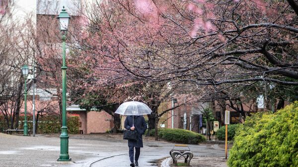 A man walks at Hamacho Park as it snows and rains in Tokyo on March 22, 2022. - Sputnik International