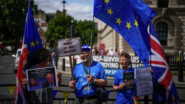 Protesters, one of them holding a photograph of British Prime Minister Boris Johnson and Britain's Home Secretary Priti Patel, stand outside the Houses of Parliament - Sputnik International