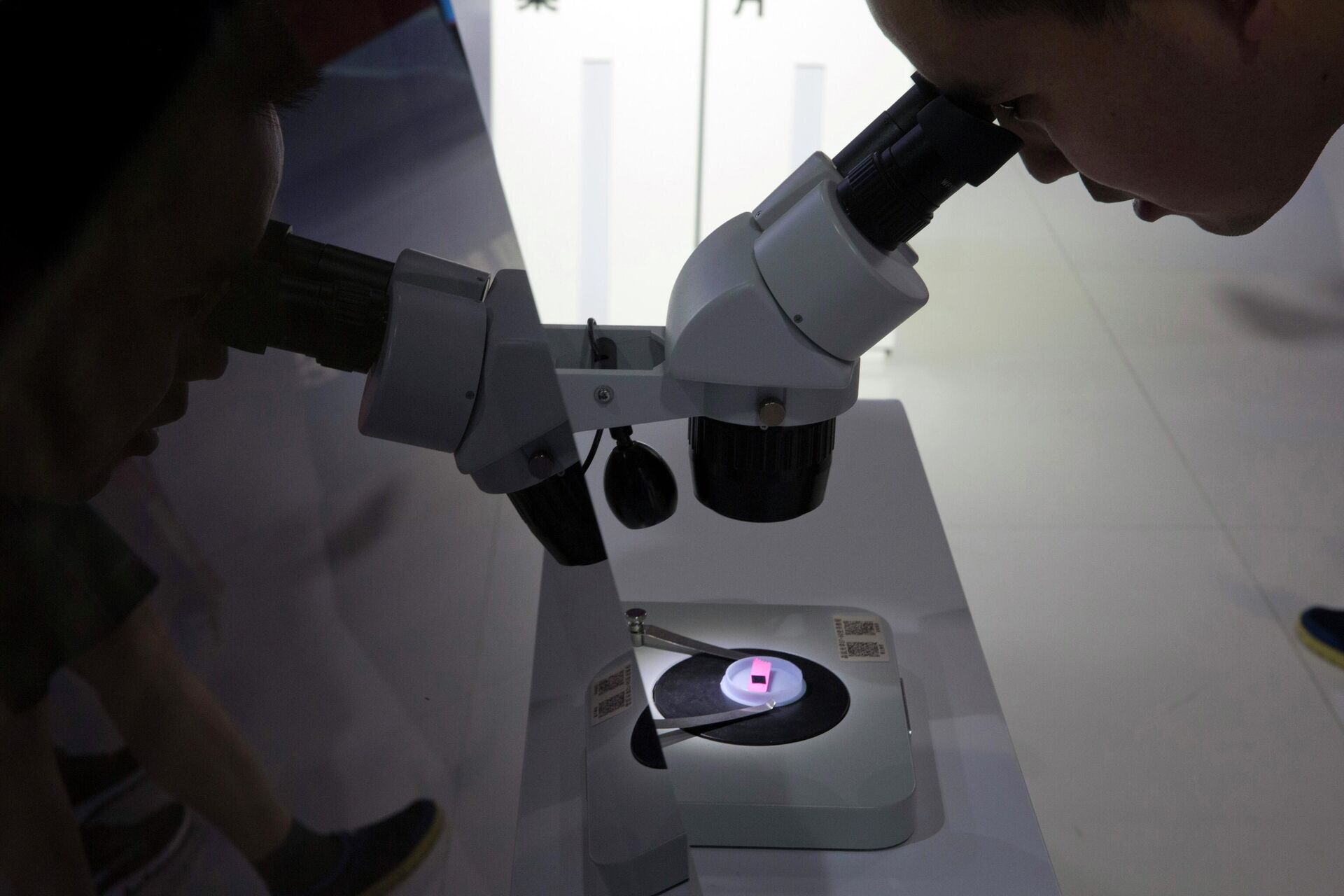 FILE - A visitor to the 21st China Beijing International High-tech Expo looks at a computer chip through the microscope displayed by the state-controlled Tsinghua Unigroup project which has emerged as a national champion for Beijing's semiconductor ambitions in Beijing, China on May 17, 2018 - Sputnik International, 1920, 25.07.2022