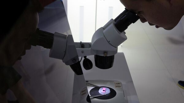 FILE - A visitor to the 21st China Beijing International High-tech Expo looks at a computer chip through the microscope displayed by the state-controlled Tsinghua Unigroup project which has emerged as a national champion for Beijing's semiconductor ambitions in Beijing, China on May 17, 2018 - Sputnik International