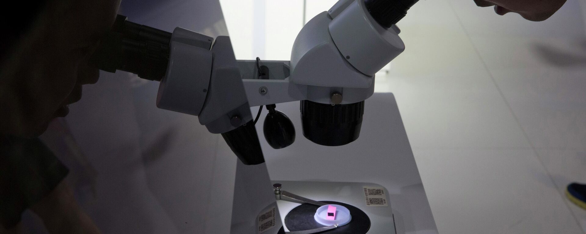 FILE - A visitor to the 21st China Beijing International High-tech Expo looks at a computer chip through the microscope displayed by the state-controlled Tsinghua Unigroup project which has emerged as a national champion for Beijing's semiconductor ambitions in Beijing, China on May 17, 2018 - Sputnik International, 1920, 03.12.2024