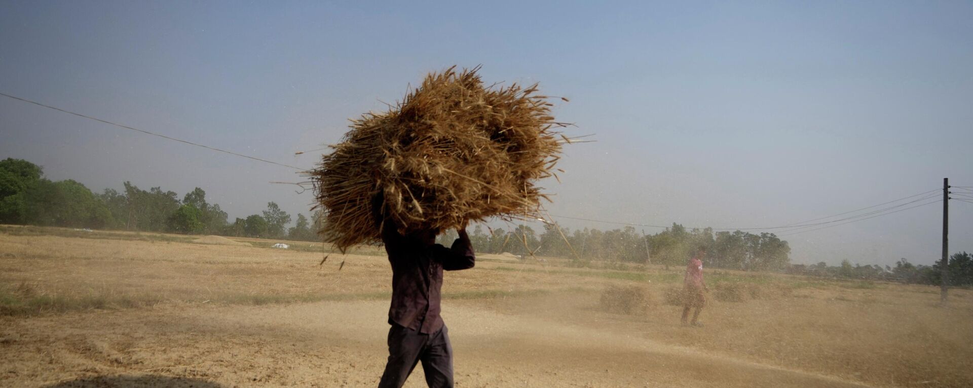 An Indian farmer carries wheat crop harvested from a field on the outskirts of Jammu, India,  April 28, 2022. - Sputnik International, 1920, 07.09.2022