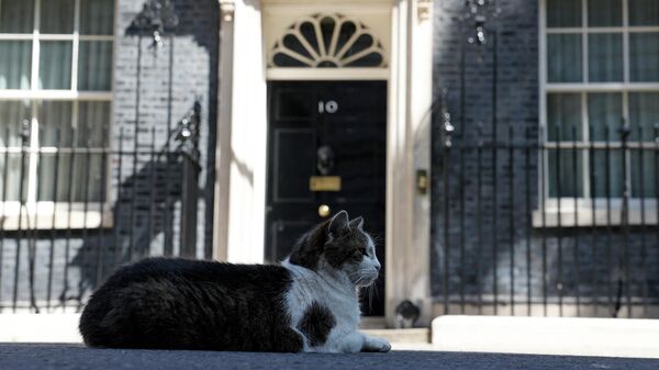  - Sputnik International