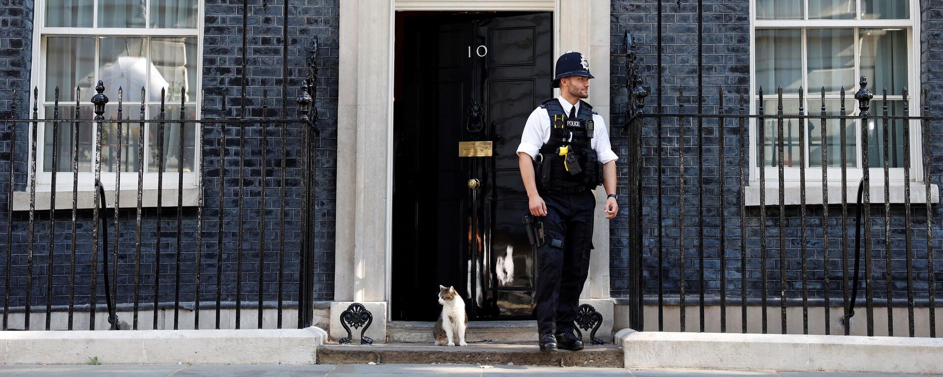 Larry the Downing Street cat sits on the step next to a police officer outside 10 Downing Street, the official residence of Britain's Prime Minister, in central London on July 8, 2022 - Sputnik International, 1920, 14.07.2022
