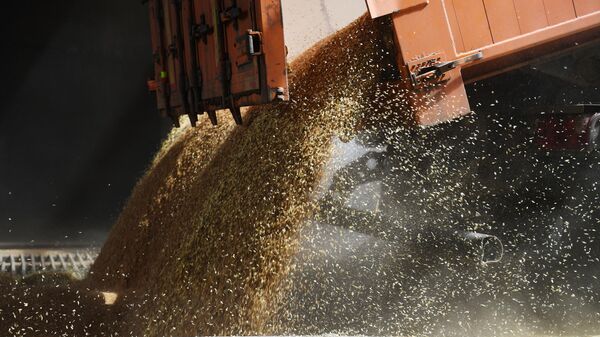 A truck unloads grain at JSC Melitopol elevator in Melitopol, Ukraine - Sputnik International