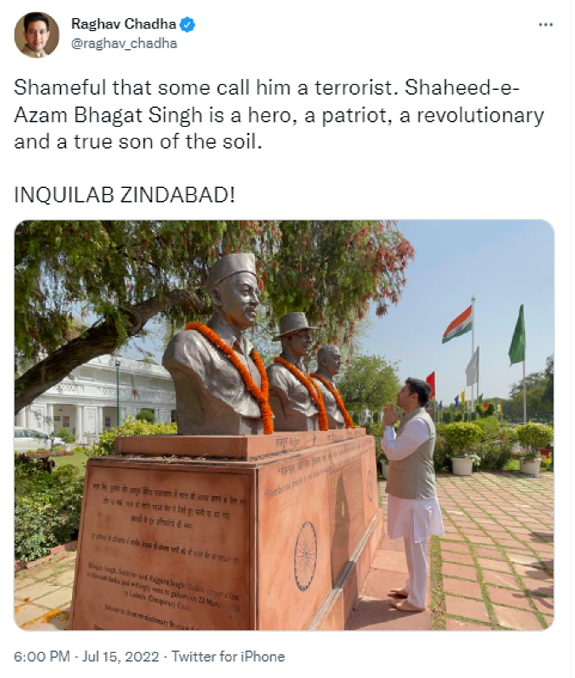 AAP's Raghav Chadha Condemns Simranjit Singh Mann's Statement on Bhagat Singh - Sputnik International, 1920, 15.07.2022