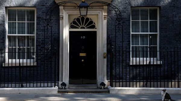 Larry the cat sits outside 10 Downing Street in London on June 24, 2022 - Sputnik International