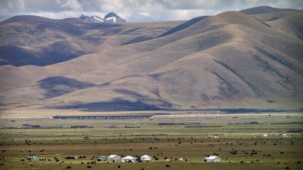 Yaks graze around tents set up for herders to live in the during the summer grazing season on grasslands near Lhasa in western China's Tibet Autonomous Region.  - Sputnik International