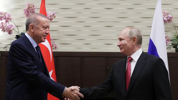 Russian President V. Putin after talks with Turkish President Recep Tayyip Erdogan - Sputnik International