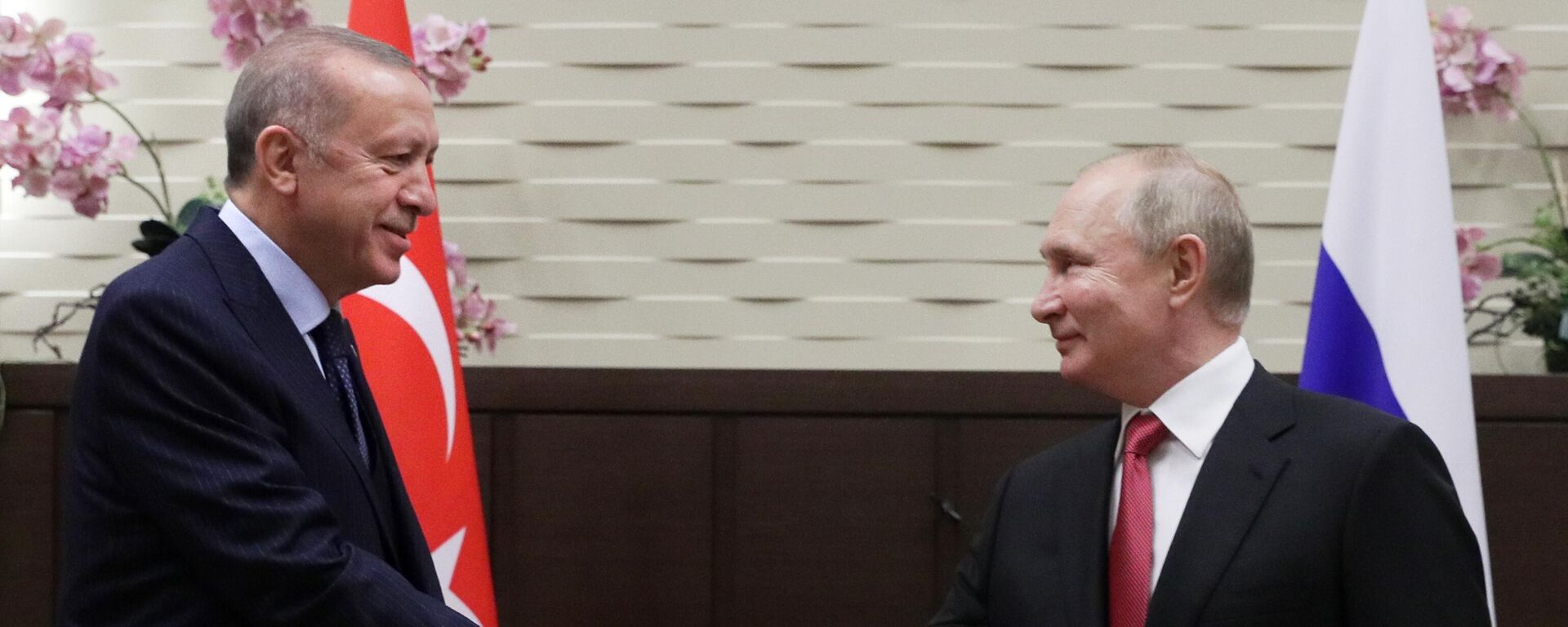 Russian President V. Putin after talks with Turkish President Recep Tayyip Erdogan - Sputnik International, 1920, 05.08.2022