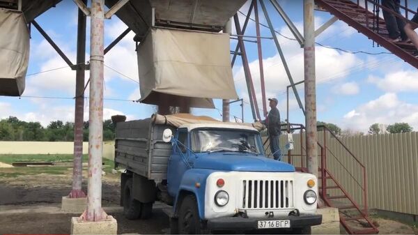 Grain loading at the Kalmychanka farm, Lugansk People's Republic. - Sputnik International