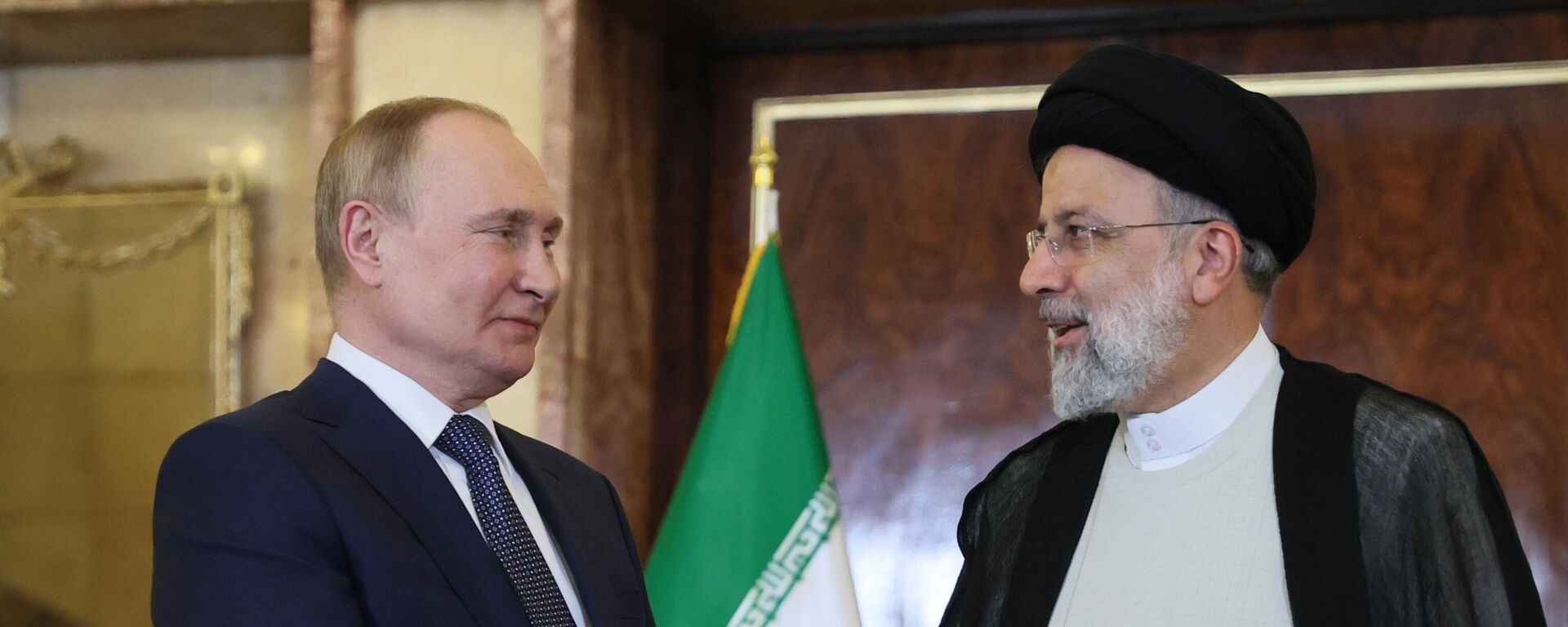 Russian President Vladimir Putin and Iranian President Ebrahim Raisi - Sputnik International, 1920, 20.07.2022