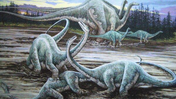 Diplodocus sauropod dinosaurs - Sputnik International