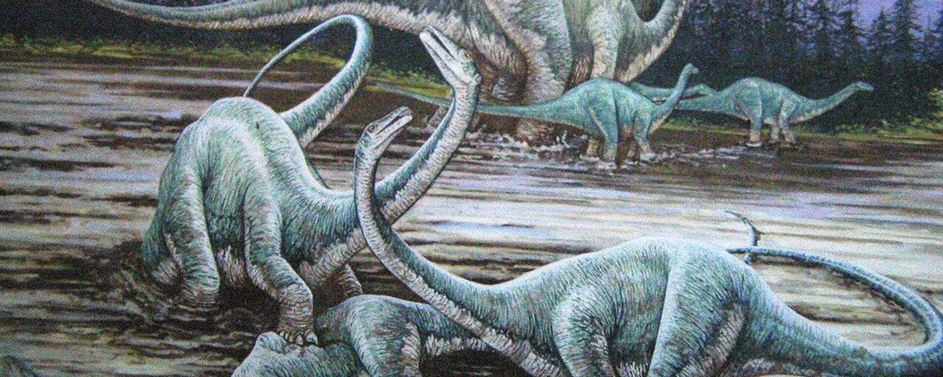 Diplodocus sauropod dinosaurs - Sputnik International, 1920, 03.07.2023
