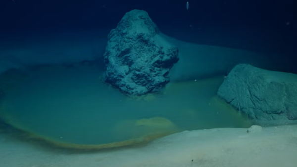 The pools were discovered during an expedition in 2020 in the Gulf of Aqaba, which is located at the northern tip of the Red Sea - Sputnik International