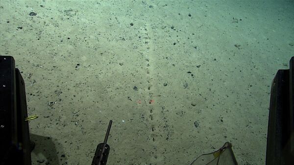 Mysterious marks on seabed around the mid-Atlantic Ridge - Sputnik International