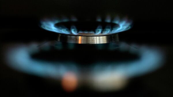 A picture taken 18 January 2008 shows the gas burner of a stove in London. United Kingdom's biggest energy provider, British Gas - Sputnik International