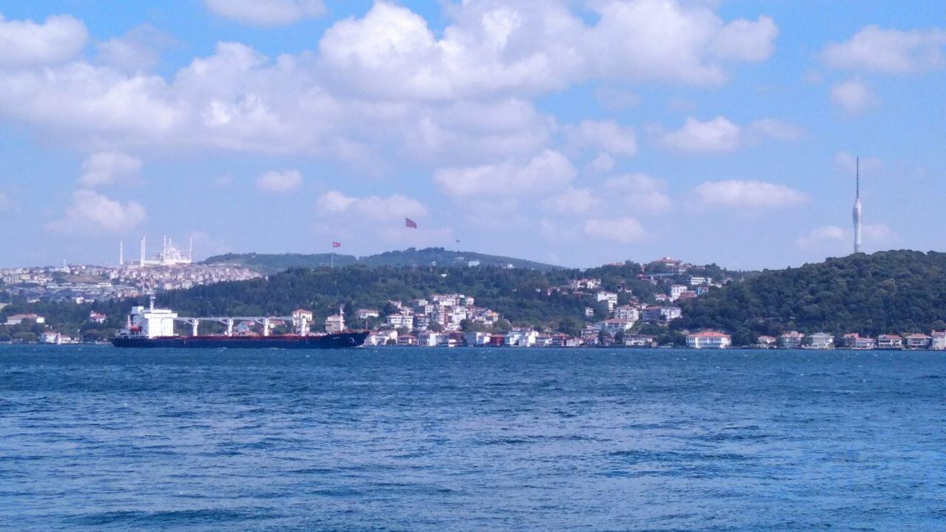 The first commercial vessel that left Ukraine under the Black Sea grain deal was inspected in Istanbul on Wednesday and cleared to proceed to Lebanon, the Joint Coordination Center (JCC) said - Sputnik International, 1920, 04.08.2022