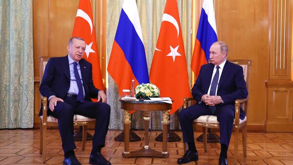 Grain Deal Situation Gives No Optimism, Erdogan-Putin Talks Only Hope - Source