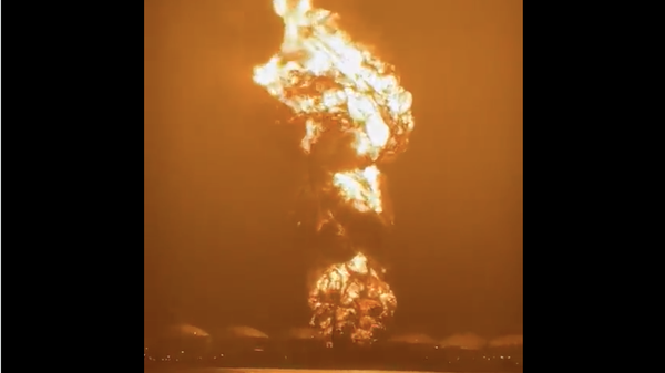  - Sputnik International