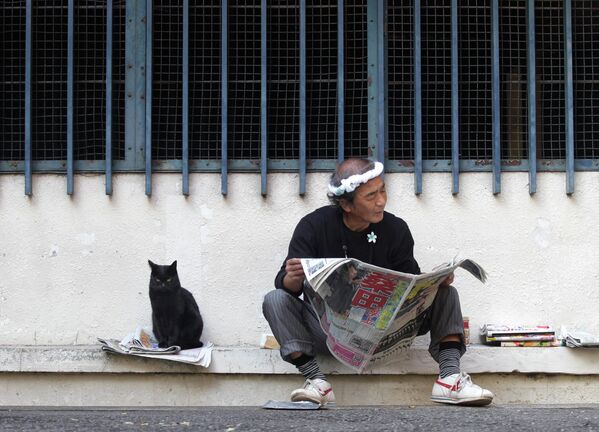 A cat sits by a man reading a newspaper at a park in Tokyo, Monday, November 7, 2011. - Sputnik International