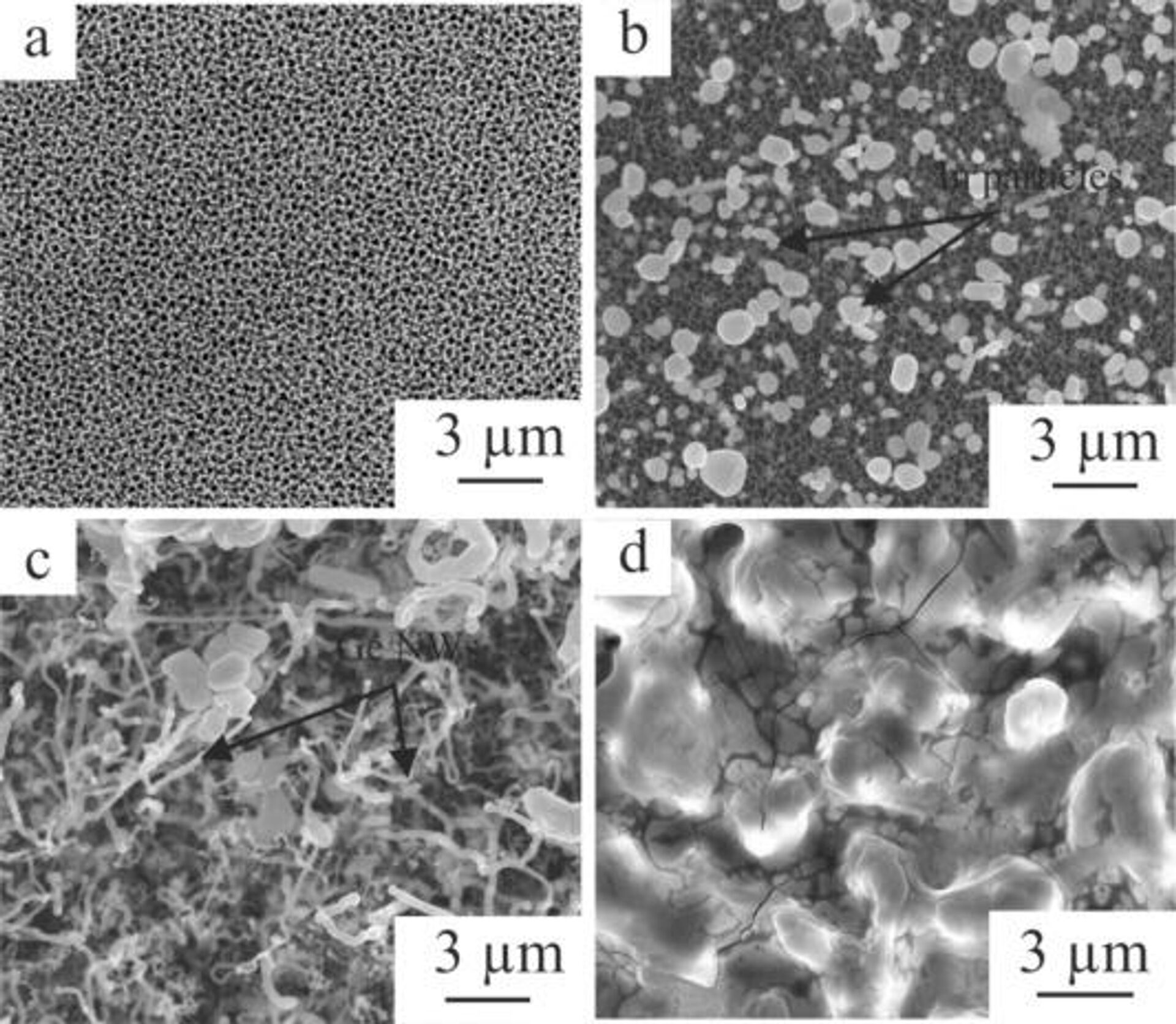 SEM images of Si1-xGex film morphology at different stages of its formation: (a) porous silicon, (b) indium particles, (c) germanium nanofibers, (d) Si1-xGex film. - Sputnik International, 1920, 11.08.2022