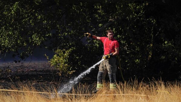 A firefighter battles a grass fire in the Leyton Flats, London, Friday, Aug. 12, 2022. A drought has been officially declared in some parts of southern and central England, following the driest summer of the past fifty years. - Sputnik International