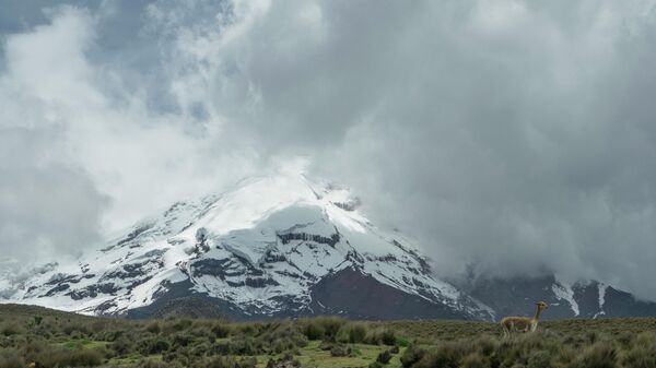  - Sputnik International